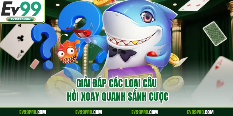 Giải đáp các loại câu hỏi xoay quanh sảnh cược